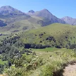 L'ancien Du Vieux Cedre
