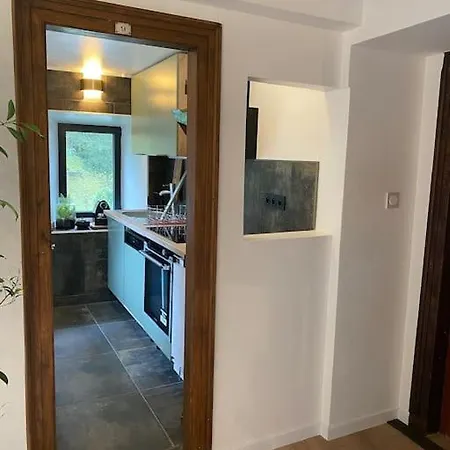 Apartamento L'ancien Du Vieux Cèdre Arreau