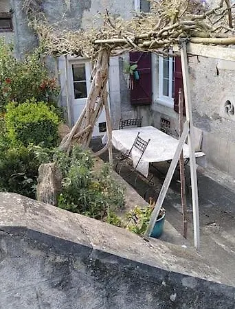 L'ancien Du Vieux Cèdre