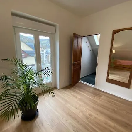 L'ancien Du Vieux Cedre Arreau