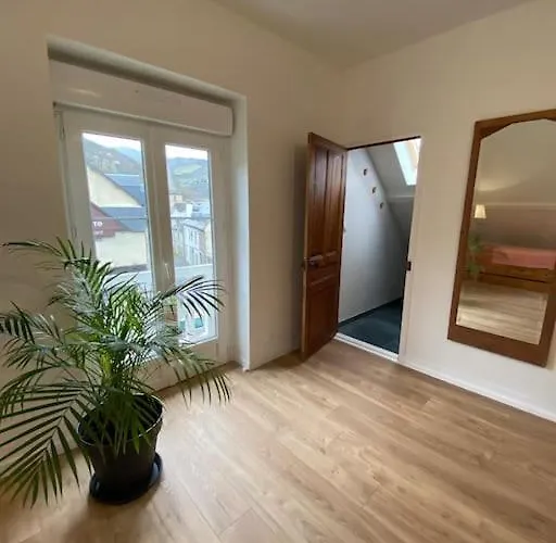 L'ancien Du Vieux Cedre 阿雷奥