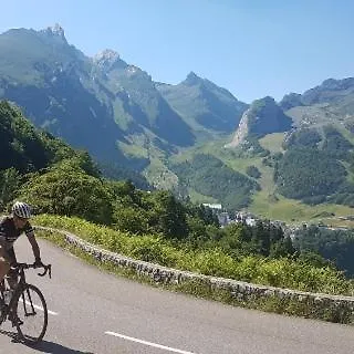 Апартаменты L'ancien Du Vieux Cedre Арро